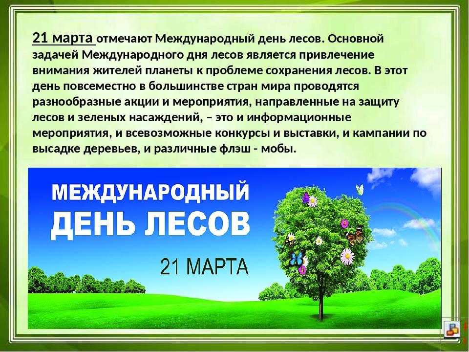 Мероприятия ко дню леса. Международный день лесов. Международныйдерь лесов. Междуанродныйдень лесов.